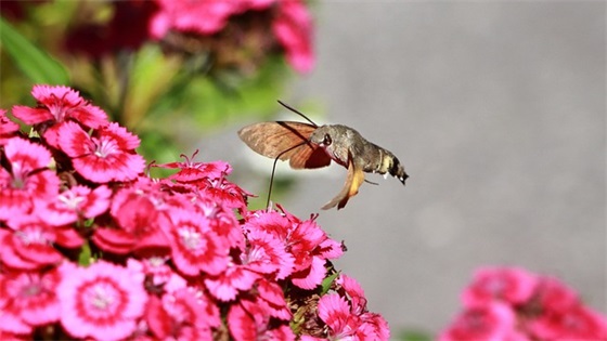 学生的学期寄语 【学生的学期寄语300字】