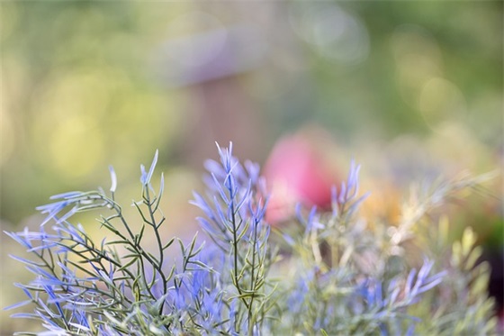 爸爸妈妈对宝宝的健康寄语 【爸爸妈妈对宝宝的祝福健康快乐成长】