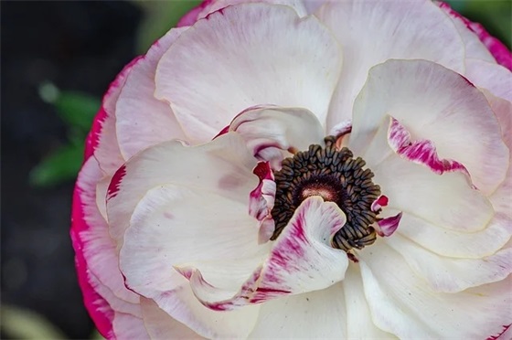 对三岁女儿的寄语与期望 【对三岁女儿的寄语与期望怎么写】