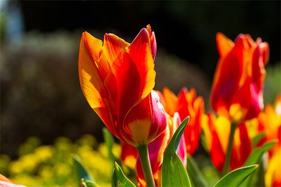 高中三年对孩子的寄语 【高中三年家长对孩子的寄语】