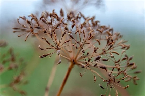 一年级考试家长寄语-58句