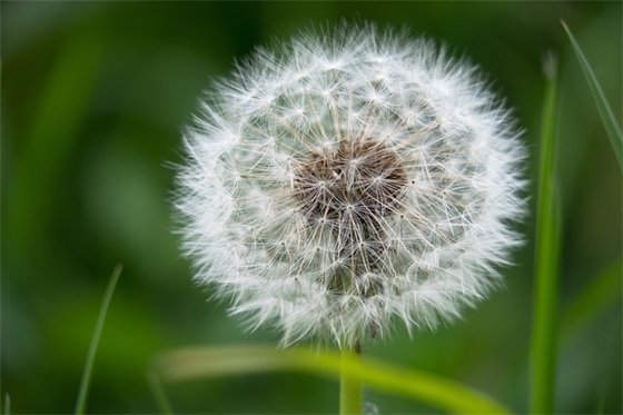给初中学生的寄语 【给初中学生的寄语简短家长】