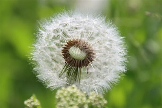 家长对孩子初中生活的寄语 【家长对初中生孩子说的话】