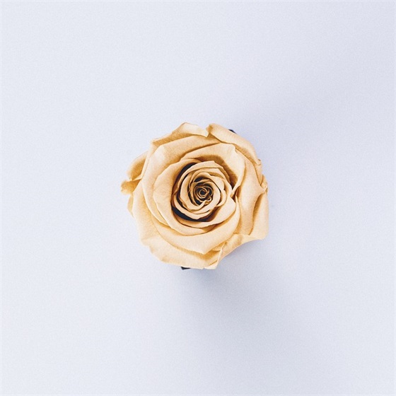 毕业照上的寄语-52句