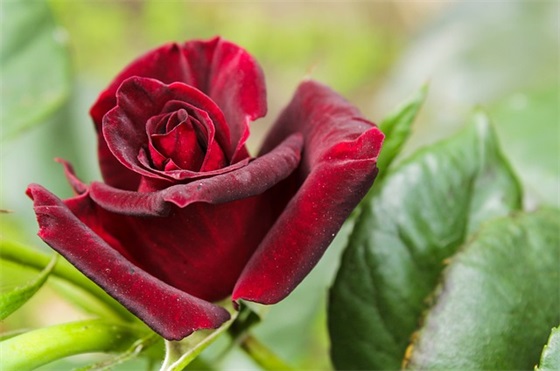 班主任给毕业生的寄语简短-53句