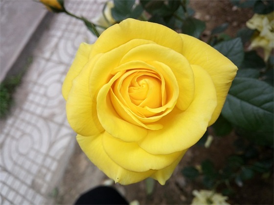 家长写给小孩的寄语-41句