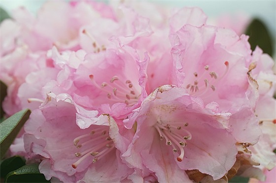 带佳怡的情侣网名大全