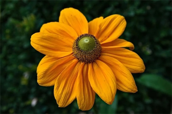 带伟婷的情侣网名