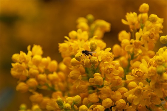 带俊娟的情侣网名