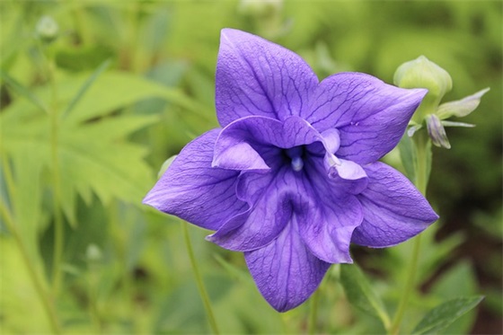 带刘和周的情侣网名