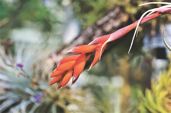 带刘和梁的情侣网名