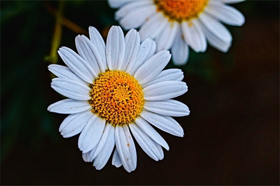 qq炫舞名字女带符号84句