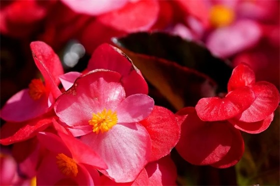 带鳖祭的网名昵称