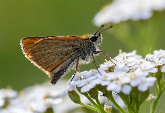 带糯字的符号网名女