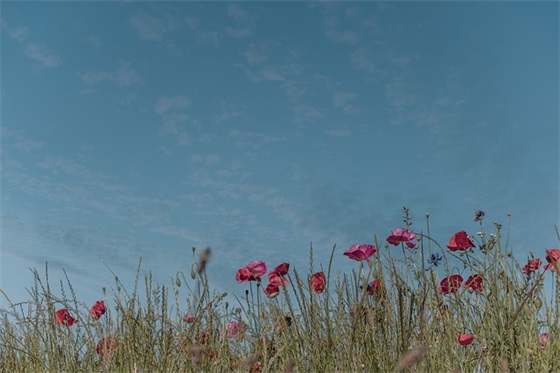 各种带师的网名