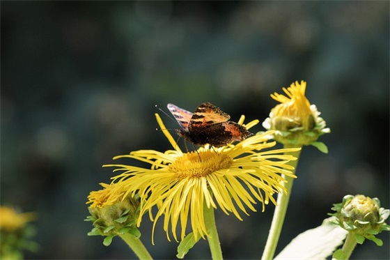 带生字大气的网名男生