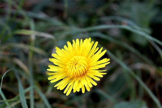 带其中的网名有哪些