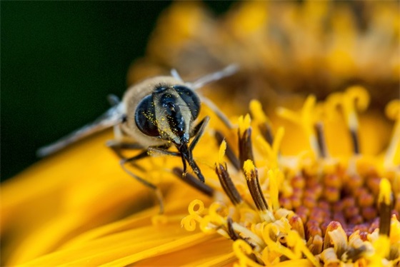 带可爱符号的网名大全
