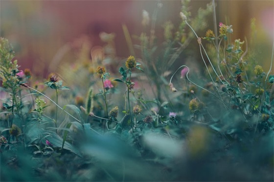 带多的网名超拽