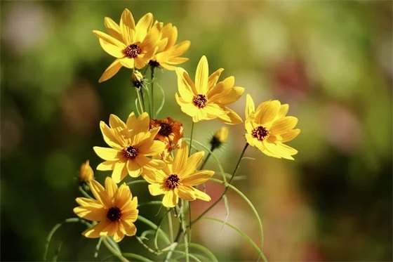 带地球的网名女温柔可爱