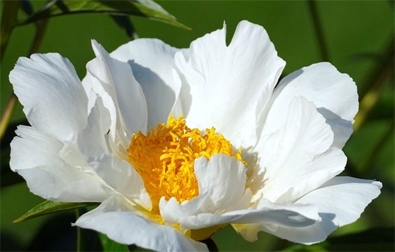 带彼此姓的情侣网名