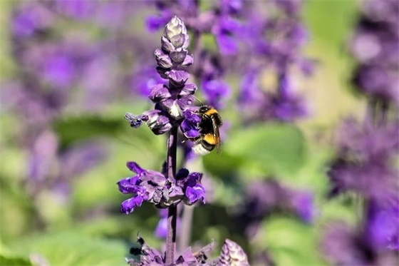 一天结束了晚安的句子