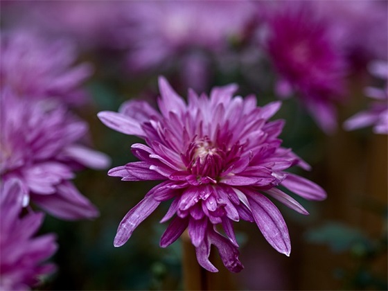 适合宝妈励志的句子 适合发圈的高情商短句8字