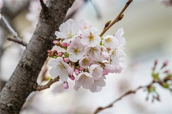 水产养殖技术方法范例6篇