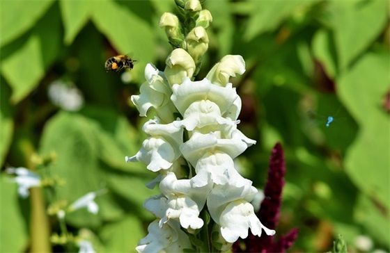 出租情人范例6篇