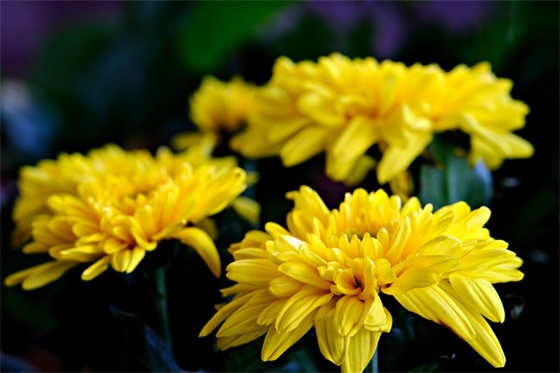 好姐妹一起飞范例6篇