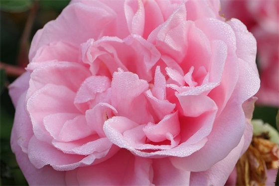 令以责之里正范例6篇