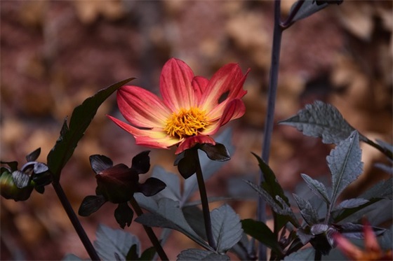 教学管理工作总结