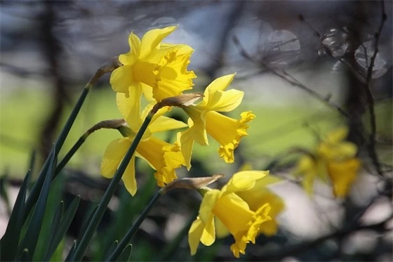 小学德育工作论文