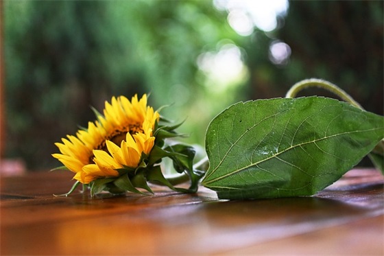 骚气十足的群名300个