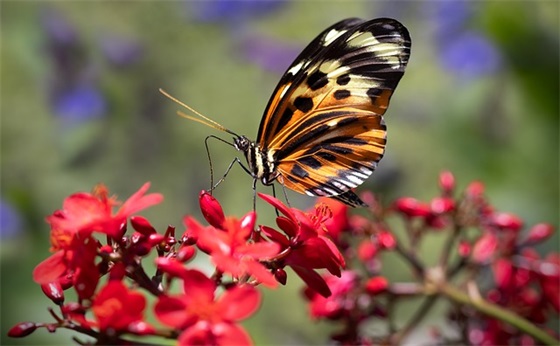 小班上学期个人小结