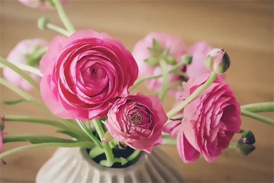 社会保险费指什么