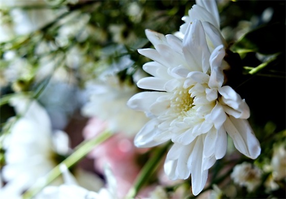 关于期末的个人总结