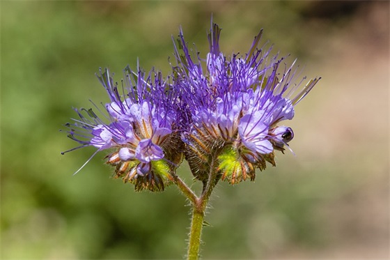 座谈会发言稿1000字范文