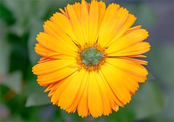 吉利远景质量怎么样