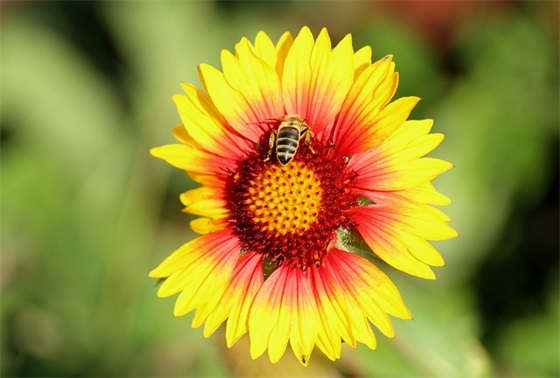 肚子疼是怎么回事？男性拉稀可能是什么原因？