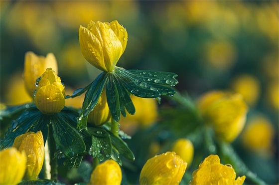 王莹健身及王莹健身操减肥健美操怎么样？