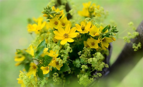 经典祝福寄语-59句