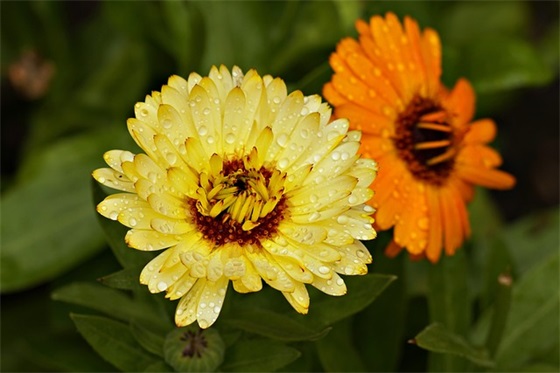 给马上幼儿园毕业的小孩寄语-58句