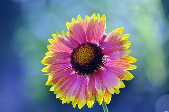 寄语大全之廉政寄语100条-100句