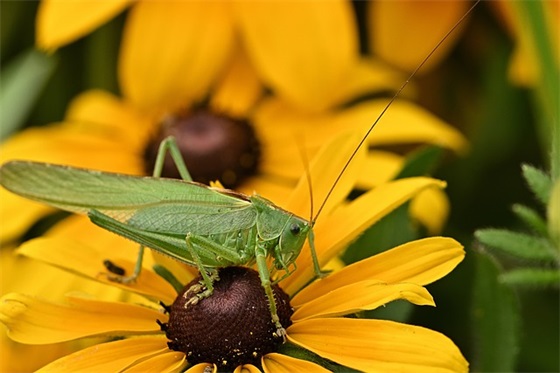 14岁仪式青春足迹家长寄语-55句