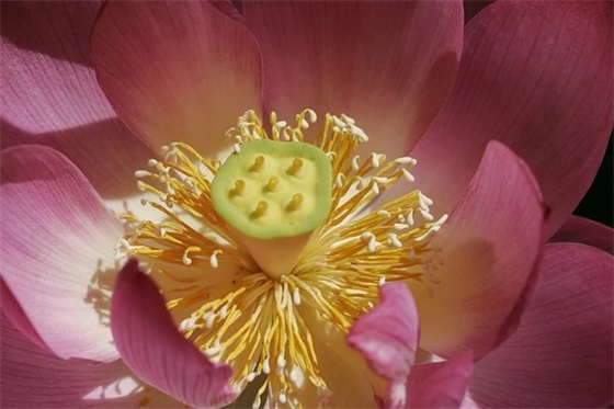 幼儿园毕业家长对幼儿的简短寄语-53句