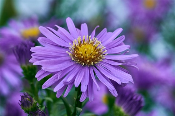 对孩子幽默搞笑的寄语和鼓励-52句