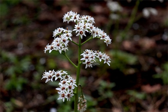 两岁宝宝的成长寄语-55句