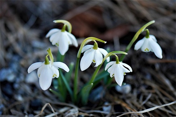 给女儿中考后的寄语-60句