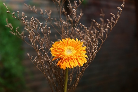 送给自己的寄语-57句